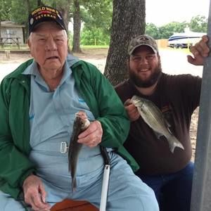 Meet your Posher, Bennie